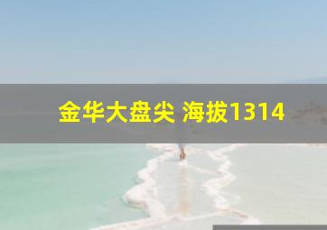 金华大盘尖 海拔1314